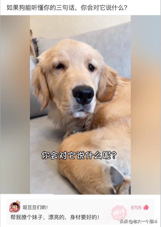 那些能让你笑出猪声的神评 第六十七弹 那些能让你笑出猪声的神评 第六十七弹
