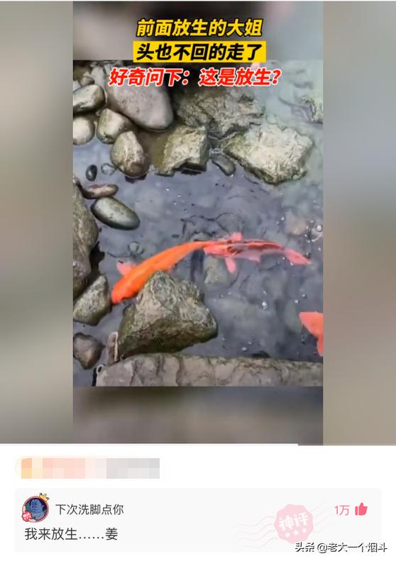 那些能让你笑出猪声的神评 第六十七弹 那些能让你笑出猪声的神评 第六十七弹