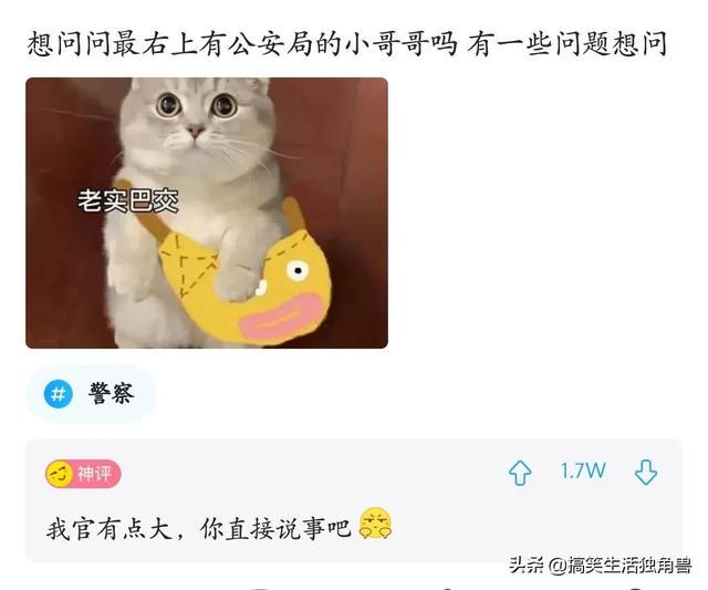 神评:炸一下九年义务教育漏网之鱼,一寸光阴一寸金下一句是什么 神评:炸一下九年义务教育漏网之鱼,一寸光阴一寸金下一句是什么