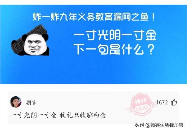 神评:炸一下九年义务教育漏网之鱼,一寸光阴一寸金下一句是什么 神评:炸一下九年义务教育漏网之鱼,一寸光阴一寸金下一句是什么