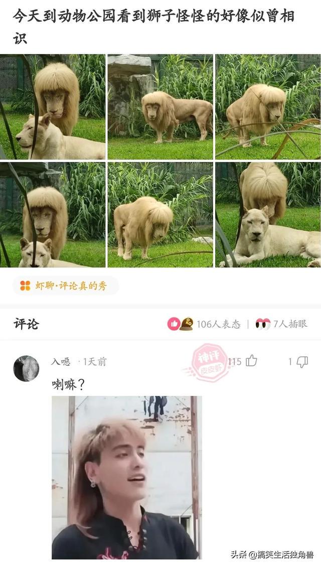 神评:炸一下九年义务教育漏网之鱼,一寸光阴一寸金下一句是什么 神评:炸一下九年义务教育漏网之鱼,一寸光阴一寸金下一句是什么