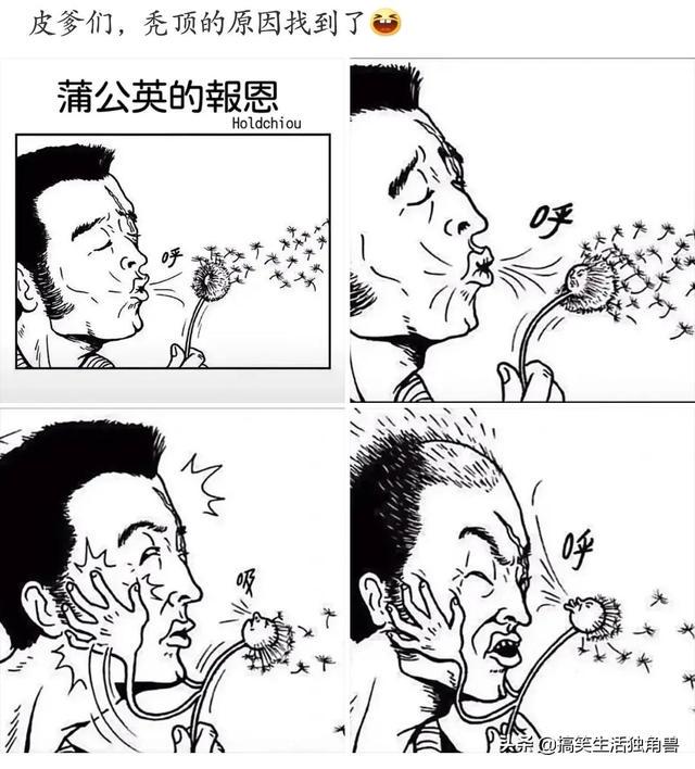 神评:炸一下九年义务教育漏网之鱼,一寸光阴一寸金下一句是什么 神评:炸一下九年义务教育漏网之鱼,一寸光阴一寸金下一句是什么