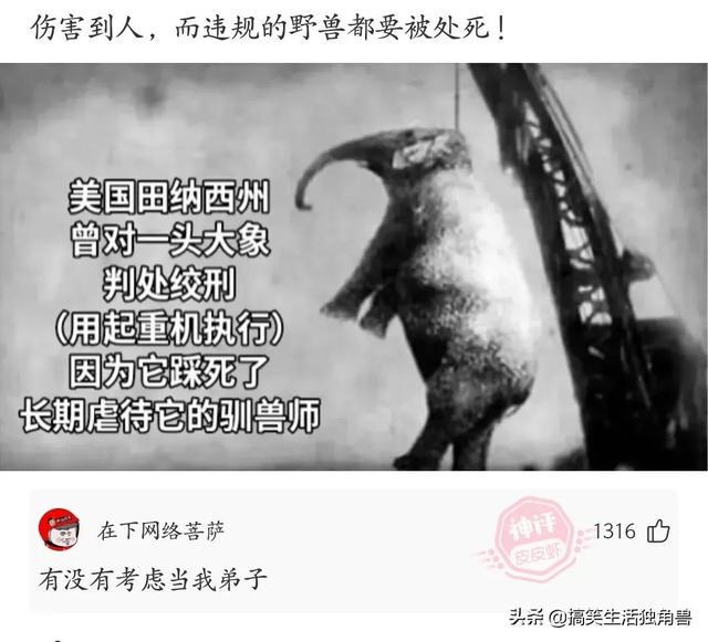 神评:炸一下九年义务教育漏网之鱼,一寸光阴一寸金下一句是什么 神评:炸一下九年义务教育漏网之鱼,一寸光阴一寸金下一句是什么