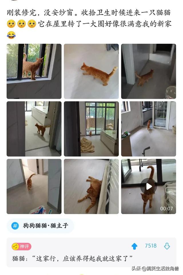 神评:炸一下九年义务教育漏网之鱼,一寸光阴一寸金下一句是什么 神评:炸一下九年义务教育漏网之鱼,一寸光阴一寸金下一句是什么