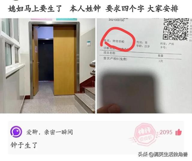 神评:炸一下九年义务教育漏网之鱼,一寸光阴一寸金下一句是什么 神评:炸一下九年义务教育漏网之鱼,一寸光阴一寸金下一句是什么