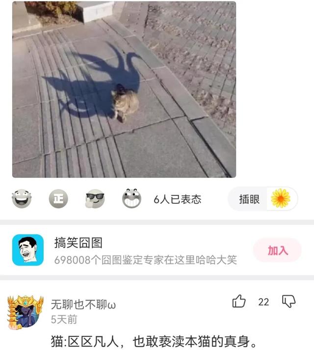 神回复,一起拼的车,不认识,我的手都麻了,怎么办? 神回复,一起拼的车,不认识,我的手都麻了,怎么办?