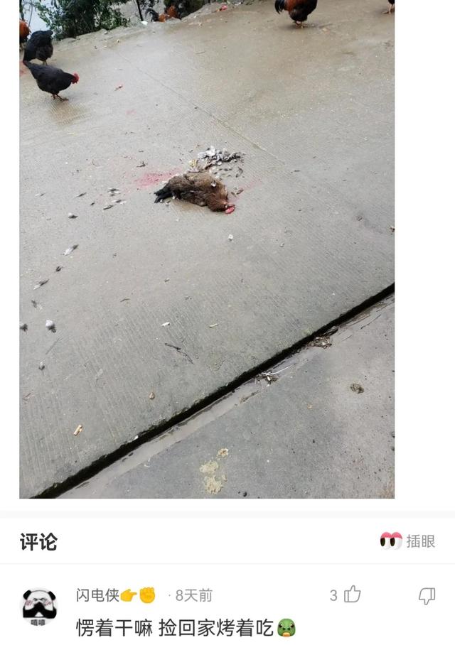 神回复,一起拼的车,不认识,我的手都麻了,怎么办? 神回复,一起拼的车,不认识,我的手都麻了,怎么办?