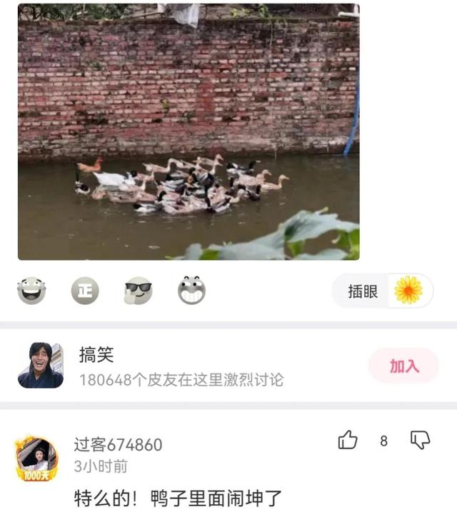 神回复,一起拼的车,不认识,我的手都麻了,怎么办? 神回复,一起拼的车,不认识,我的手都麻了,怎么办?