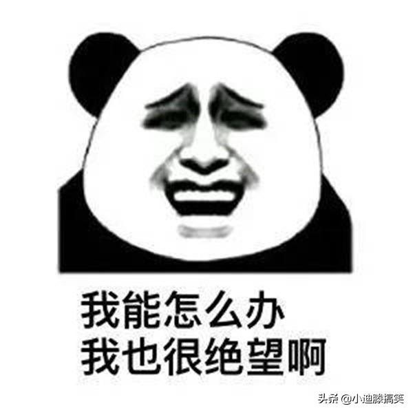 搞笑段子:两个小时后,经理忍着痛把我从派出所领了出来 搞笑段子:两个小时后,经理忍着痛把我从派出所领了出来