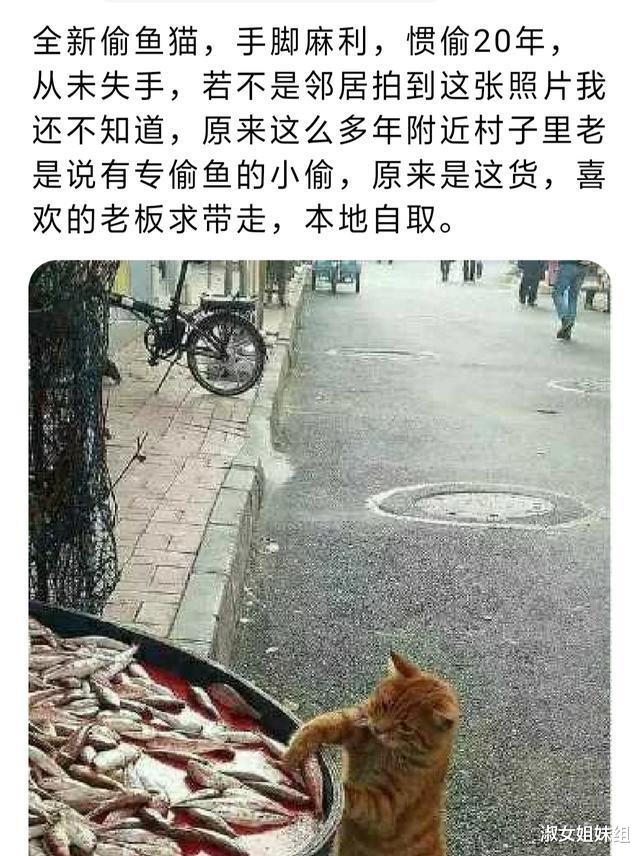 “老婆发来出差的照片,大家看后都劝我看开点,你们都是怎么了?”哈哈哈哈 “老婆发来出差的照片,大家看后都劝我看开点,你们都是怎么了?”哈哈哈哈