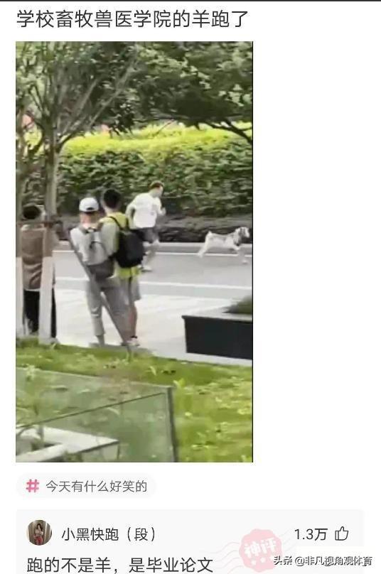 神回复:姑娘穿成这样来拜佛,佛祖真的会保佑她吗?被评论笑死了 神回复:姑娘穿成这样来拜佛,佛祖真的会保佑她吗?被评论笑死了