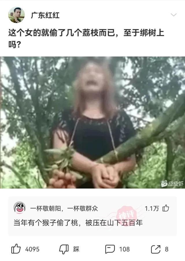 爆笑神评:早上在公园发现的,是不是发生了一场大战?很激烈啊 爆笑神评:早上在公园发现的,是不是发生了一场大战?很激烈啊