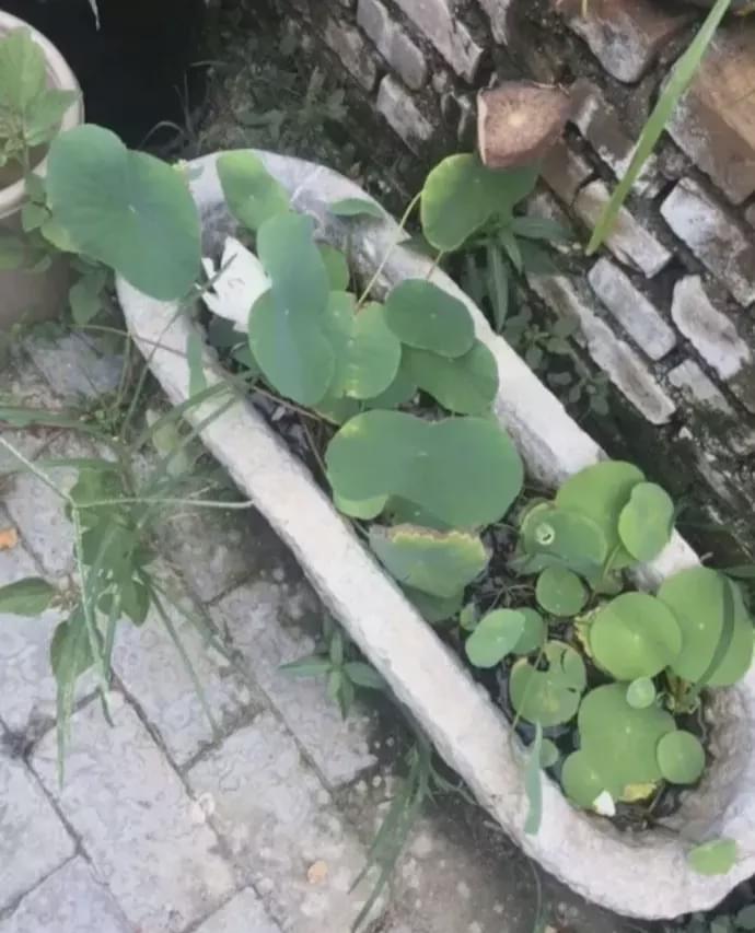 “这种情况我是找房东?还是楼上的新婚夫妇?”哈哈哈哈评论区一群戏精! “这种情况我是找房东?还是楼上的新婚夫妇?”哈哈哈哈评论区一群戏精!