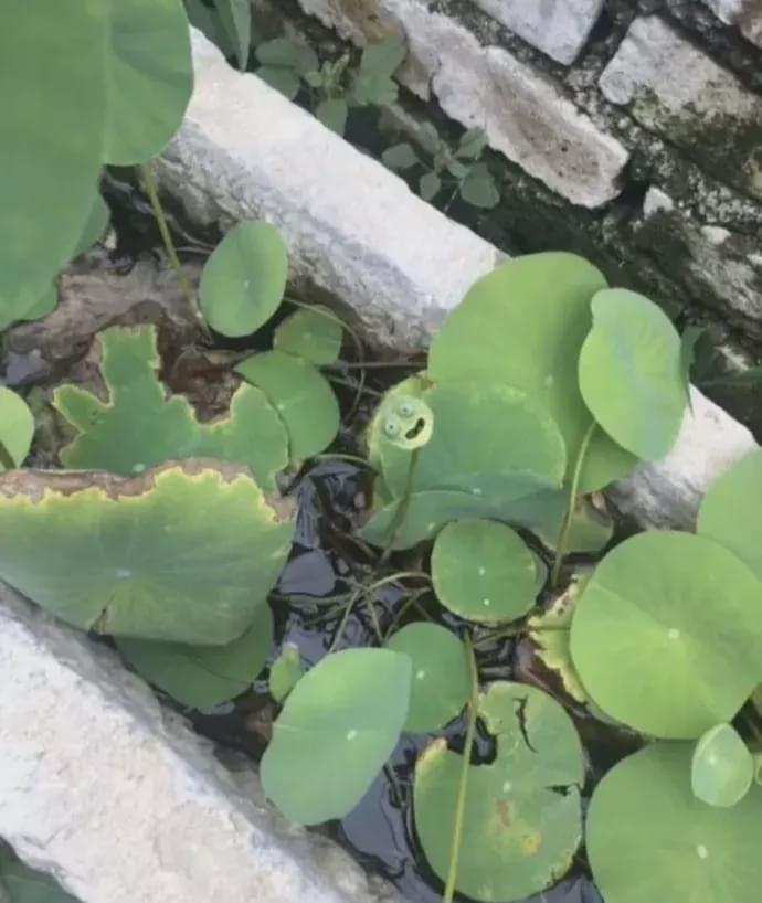 “这种情况我是找房东?还是楼上的新婚夫妇?”哈哈哈哈评论区一群戏精! “这种情况我是找房东?还是楼上的新婚夫妇?”哈哈哈哈评论区一群戏精!