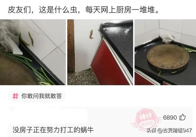 学校要建新厕所,我发了张效果图给校方,结果他们骂我是大笨蛋 学校要建新厕所,我发了张效果图给校方,结果他们骂我是大笨蛋