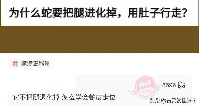 学校要建新厕所，我发了张效果图给校方，结果他们骂我是大笨蛋