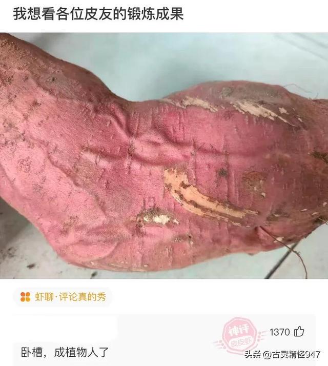 学校要建新厕所,我发了张效果图给校方,结果他们骂我是大笨蛋 学校要建新厕所,我发了张效果图给校方,结果他们骂我是大笨蛋