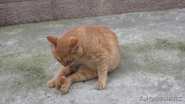 高中时早恋,老师叫家长,我妈没来,对方的妈妈来了 高中时早恋,老师叫家长,我妈没来,对方的妈妈来了