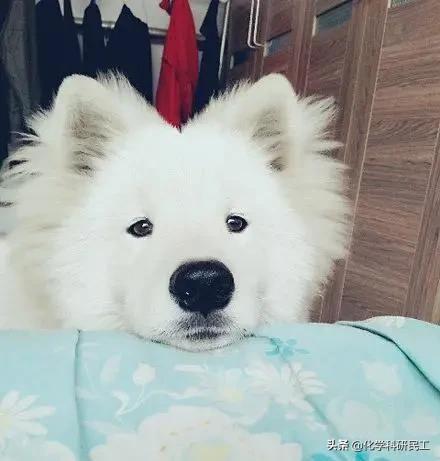 高中时早恋,老师叫家长,我妈没来,对方的妈妈来了 高中时早恋,老师叫家长,我妈没来,对方的妈妈来了