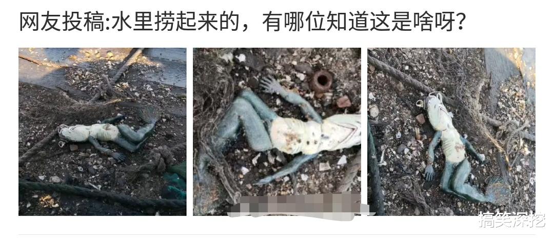 “从水里捞起来的,请问一下这是什么啊?”哈哈哈哈哈... “从水里捞起来的,请问一下这是什么啊?”哈哈哈哈哈...