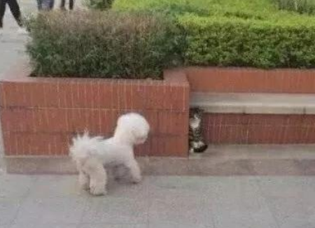 “蹦迪时踩到的,软软的一团东西,这是啥啊?”哈哈哈,无敌了呀~ “蹦迪时踩到的,软软的一团东西,这是啥啊?”哈哈哈,无敌了呀~