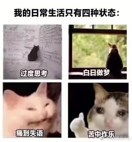 轻松一秒:这东西很贵吗?为什么有人说他炫富 轻松一秒:这东西很贵吗?为什么有人说他炫富