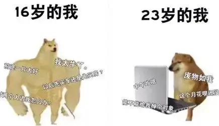 轻松一刻：公司团建，我给老总安排了三人间……