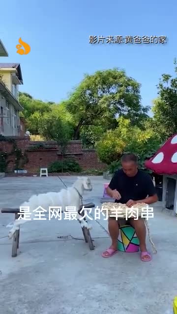 轻松一刻：公司团建，我给老总安排了三人间……