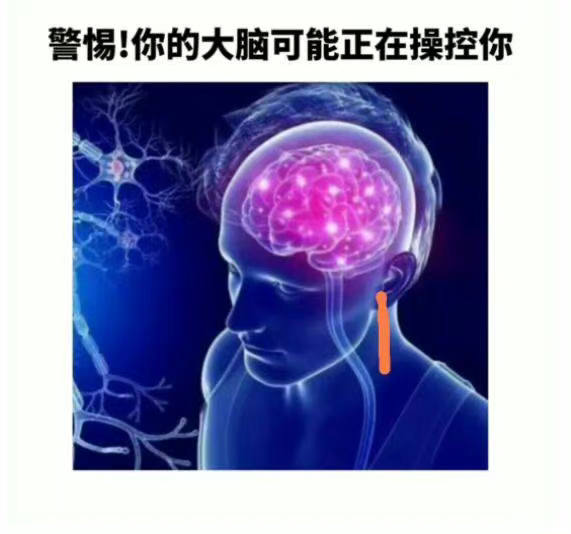 轻松一刻：公司团建，我给老总安排了三人间……