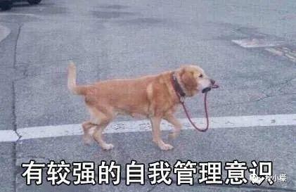 “陌生女孩微信发来一张照片,说要跟我网恋?!”看完直接崩溃掉了hhhh! “陌生女孩微信发来一张照片,说要跟我网恋?!”看完直接崩溃掉了hhhh!