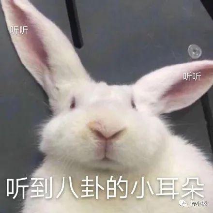 “陌生女孩微信发来一张照片,说要跟我网恋?!”看完直接崩溃掉了hhhh! “陌生女孩微信发来一张照片,说要跟我网恋?!”看完直接崩溃掉了hhhh!