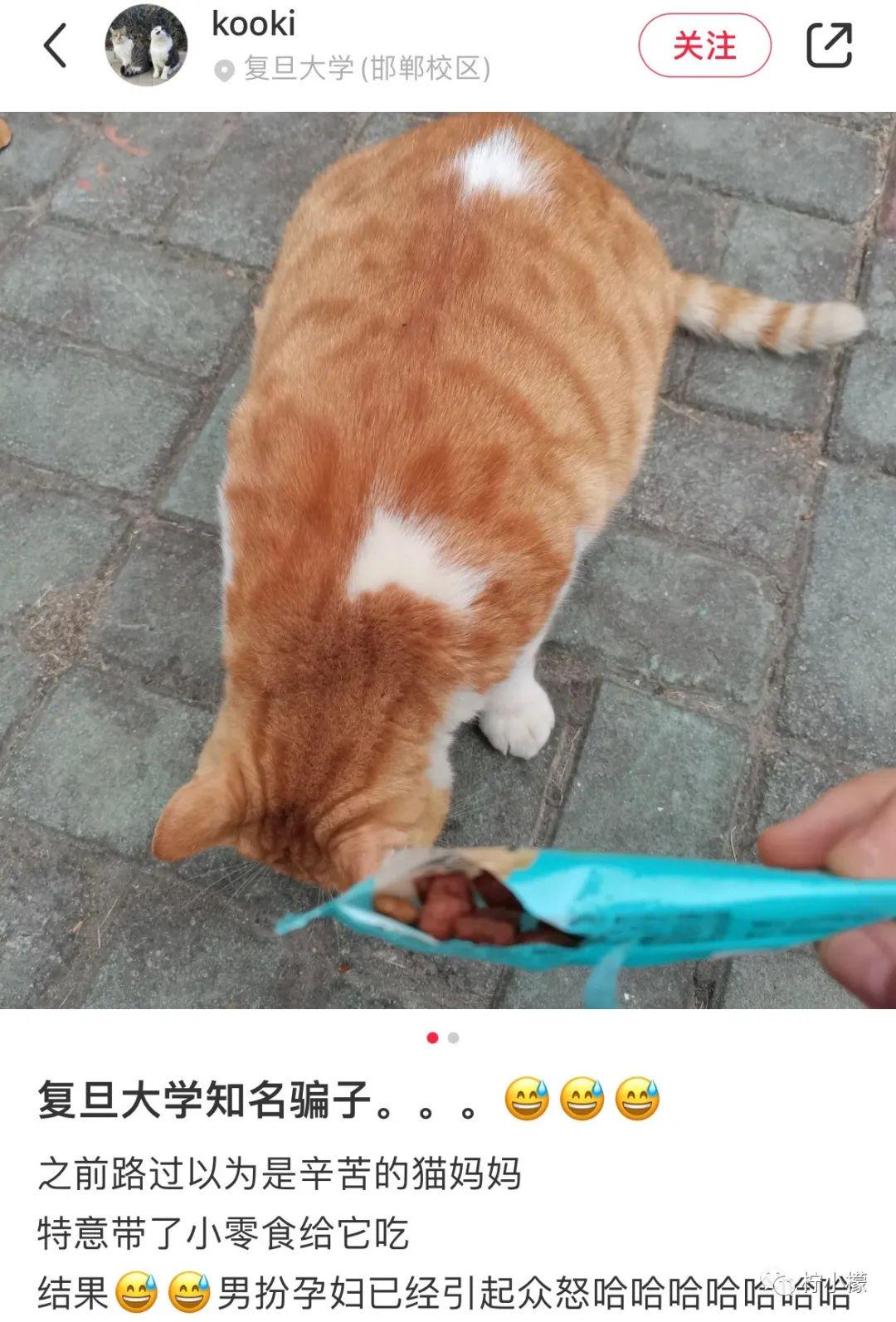 “陌生女孩微信发来一张照片,说要跟我网恋?!”看完直接崩溃掉了hhhh! “陌生女孩微信发来一张照片,说要跟我网恋?!”看完直接崩溃掉了hhhh!