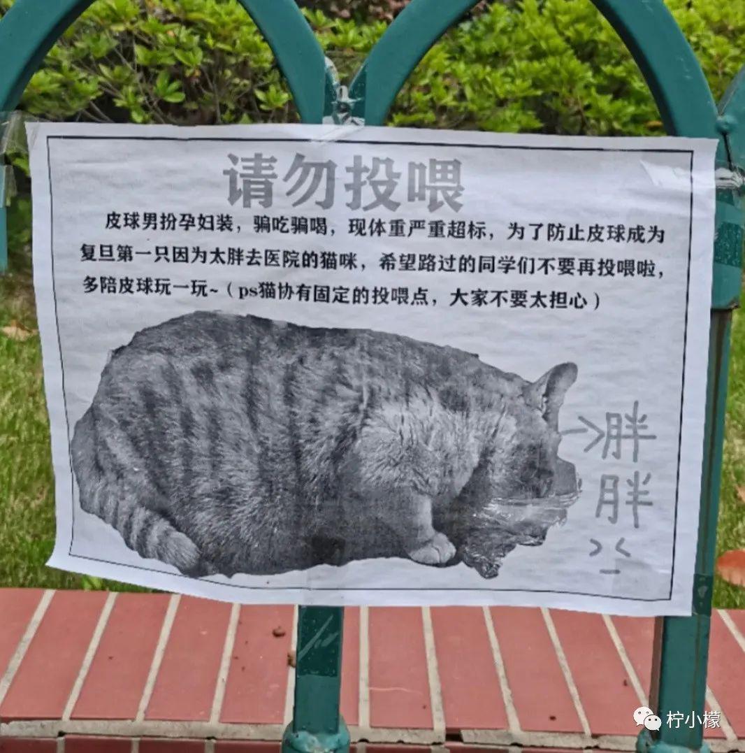 “陌生女孩微信发来一张照片,说要跟我网恋?!”看完直接崩溃掉了hhhh! “陌生女孩微信发来一张照片,说要跟我网恋?!”看完直接崩溃掉了hhhh!