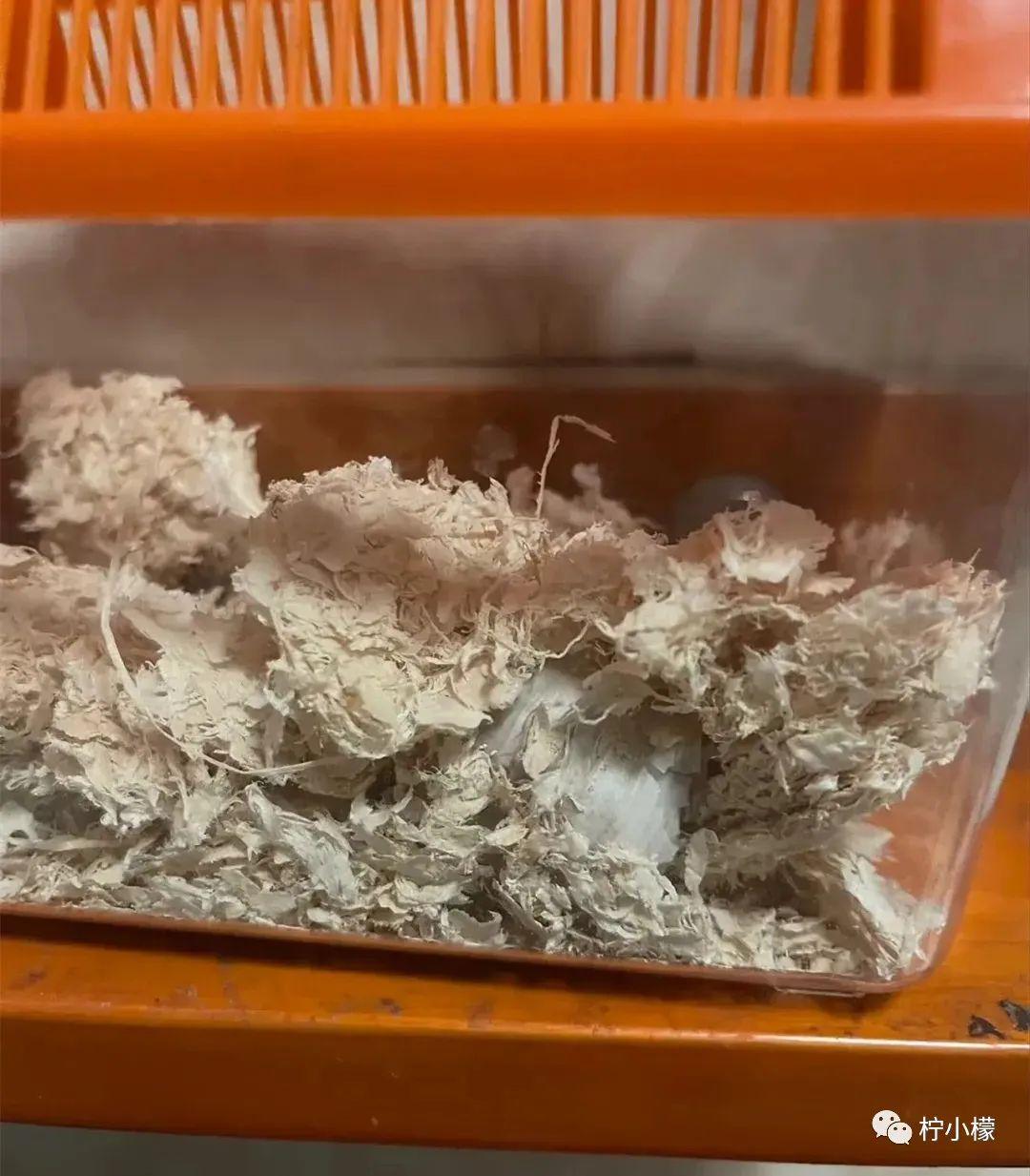 “陌生女孩微信发来一张照片,说要跟我网恋?!”看完直接崩溃掉了hhhh! “陌生女孩微信发来一张照片,说要跟我网恋?!”看完直接崩溃掉了hhhh!