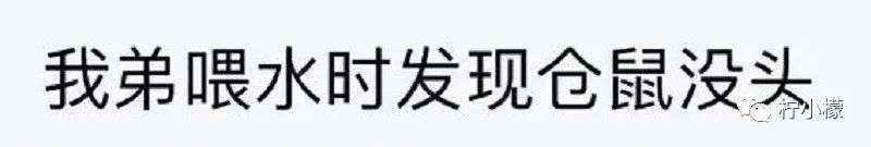 “陌生女孩微信发来一张照片，说要跟我网恋？！”看完直接崩溃掉了hhhh！