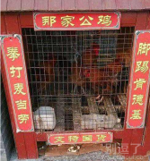 支持国货,支持国货 支持国货,支持国货