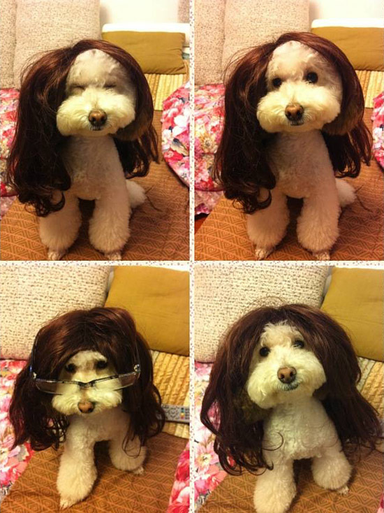 动物的花花世界,萌世界。