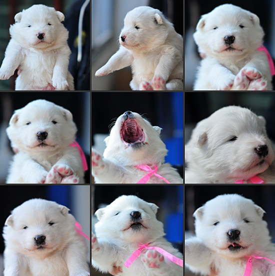 动物的花花世界,萌世界。