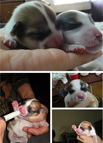 动物的花花世界,萌世界。