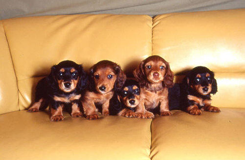 动物的花花世界,萌世界。