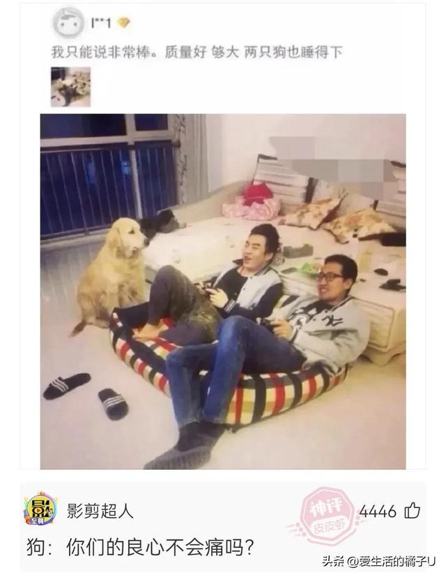 神回复:三分自信,三分得意,四分傲慢的笑容… 神回复:三分自信,三分得意,四分傲慢的笑容…