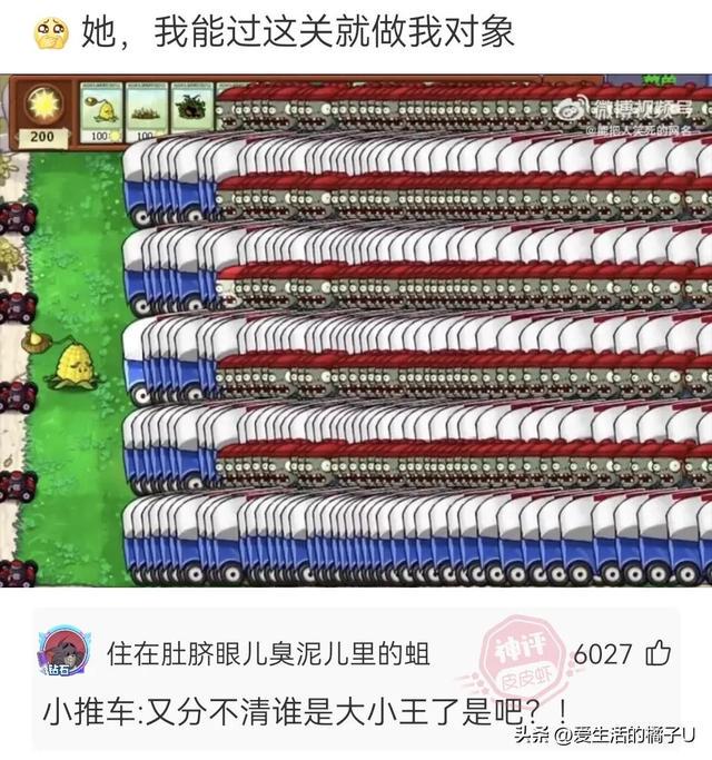 神回复:三分自信,三分得意,四分傲慢的笑容… 神回复:三分自信,三分得意,四分傲慢的笑容…