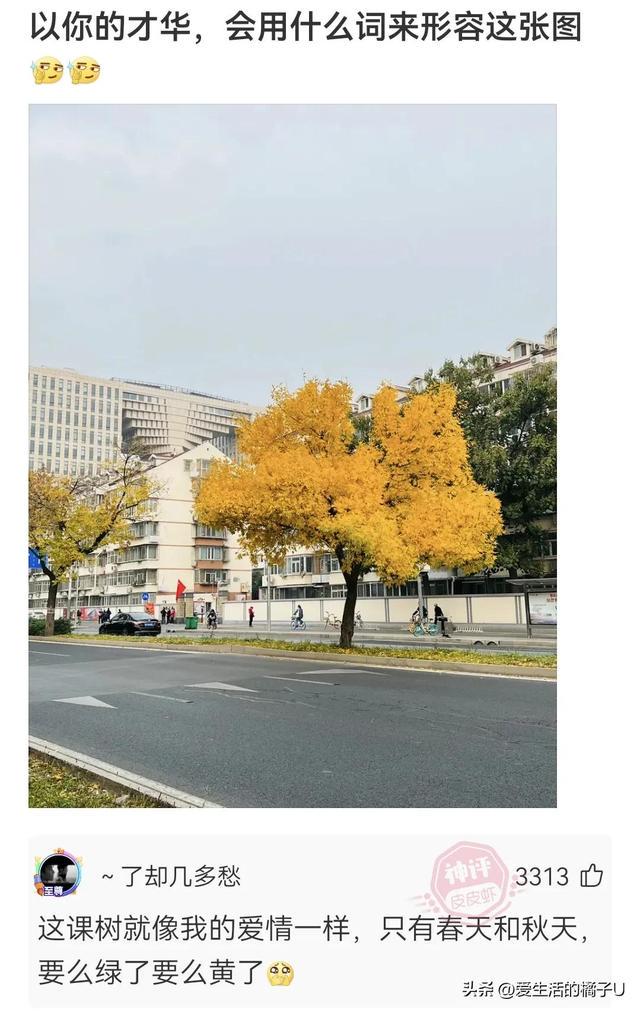 神回复:三分自信,三分得意,四分傲慢的笑容… 神回复:三分自信,三分得意,四分傲慢的笑容…