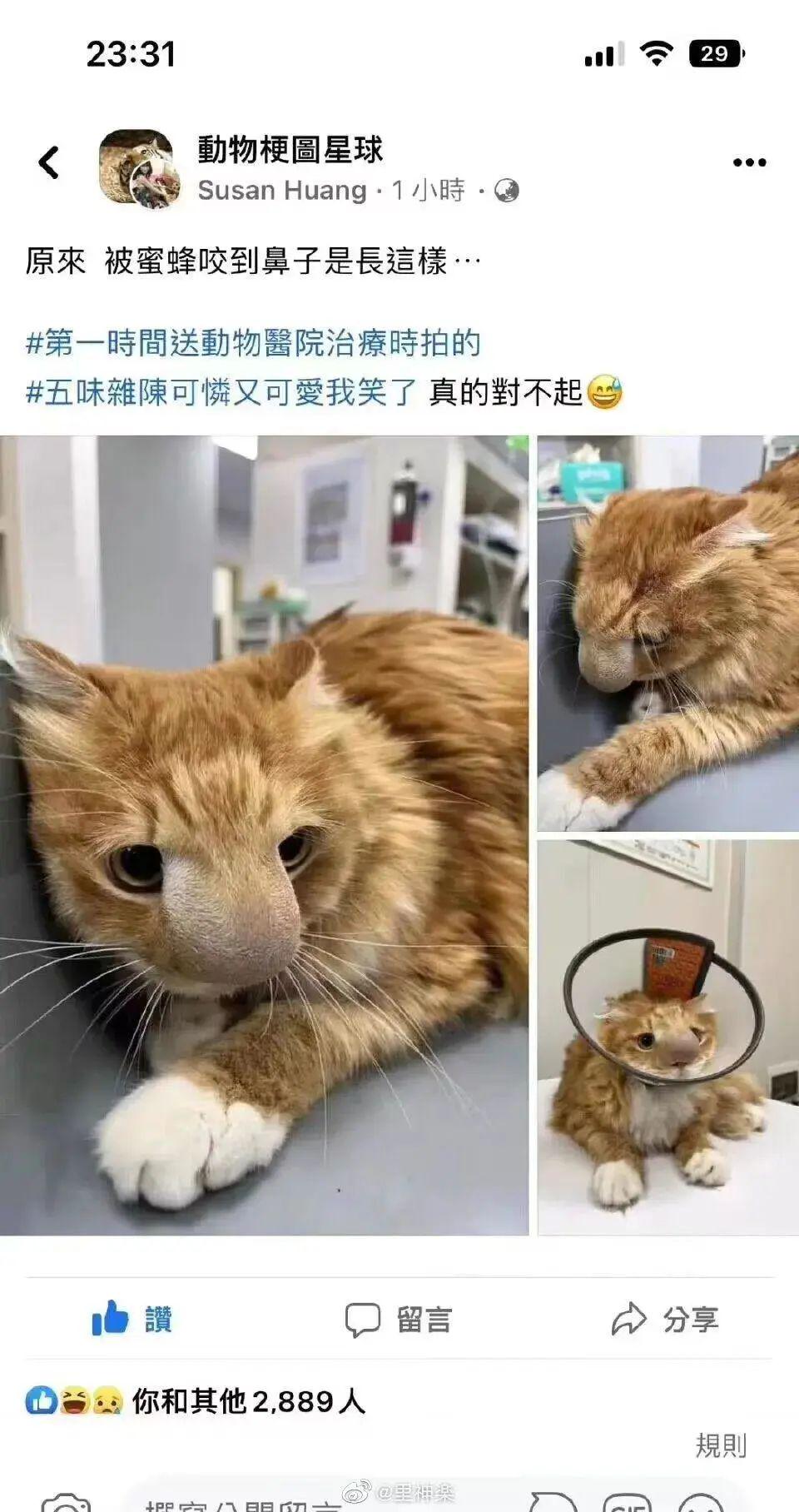 大侠后宫:“网友做了一天鉴黄师后…再也不想看见这三样东西了!” 大侠后宫:“网友做了一天鉴黄师后…再也不想看见这三样东西了!”