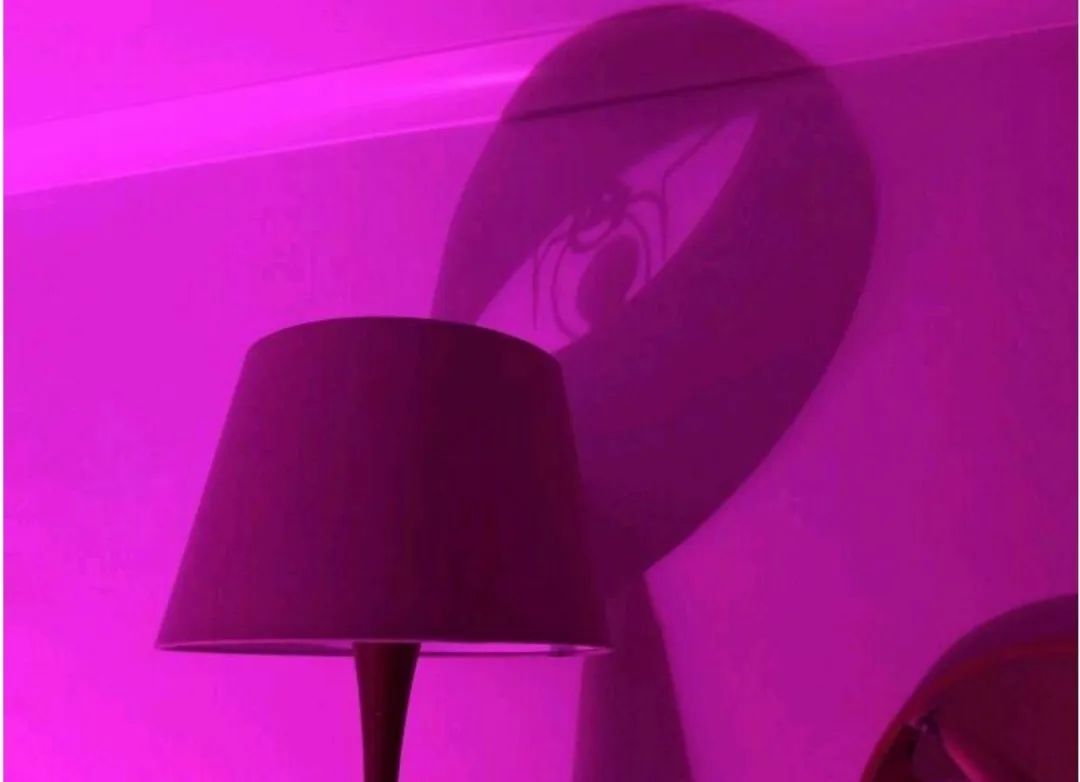 是分身么？看看你的影子像什么？攒了好多影子的图