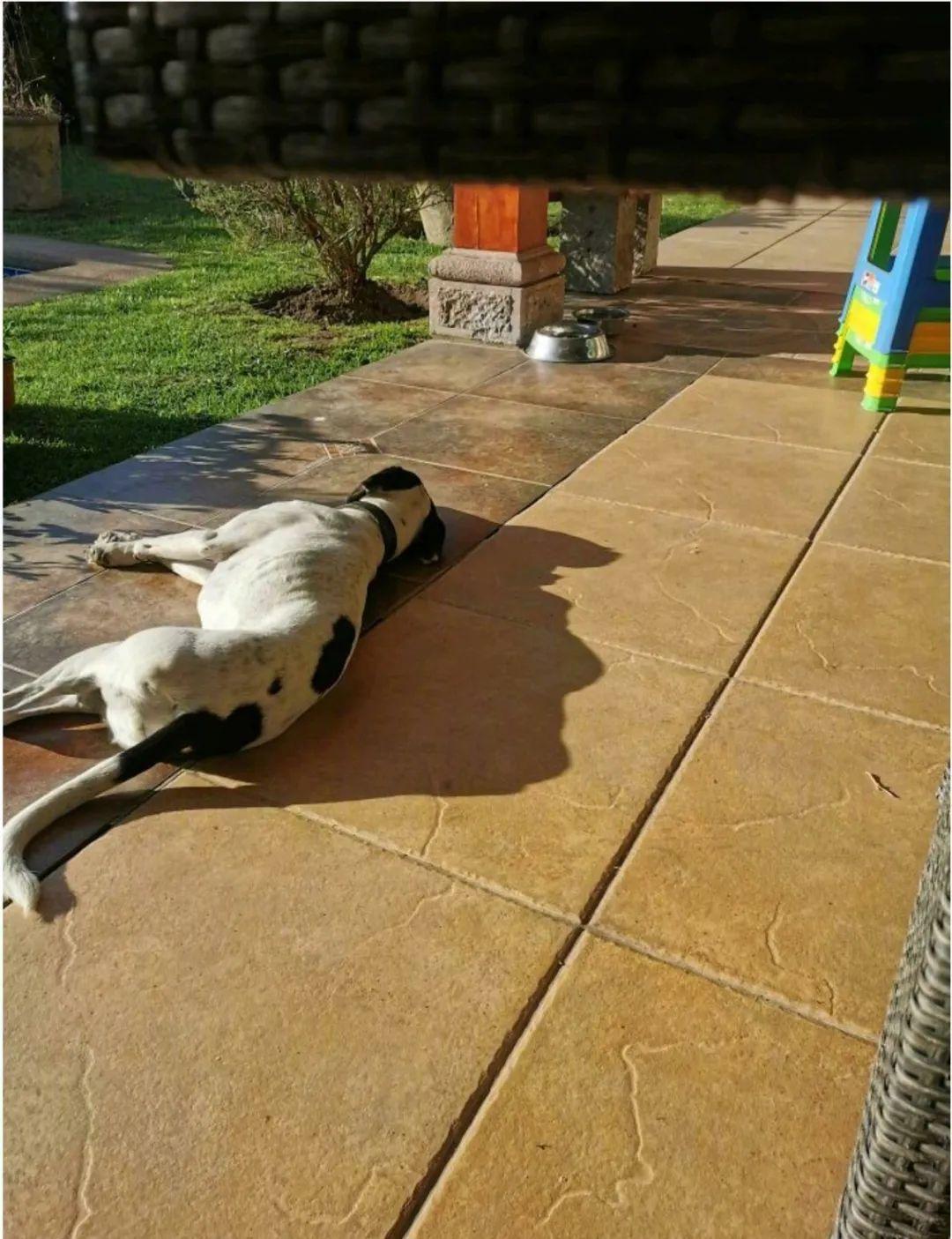 是分身么？看看你的影子像什么？攒了好多影子的图