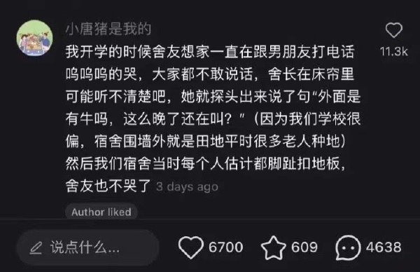 轻松一刻:听说每个男程序员回家后,都想被这样对待…