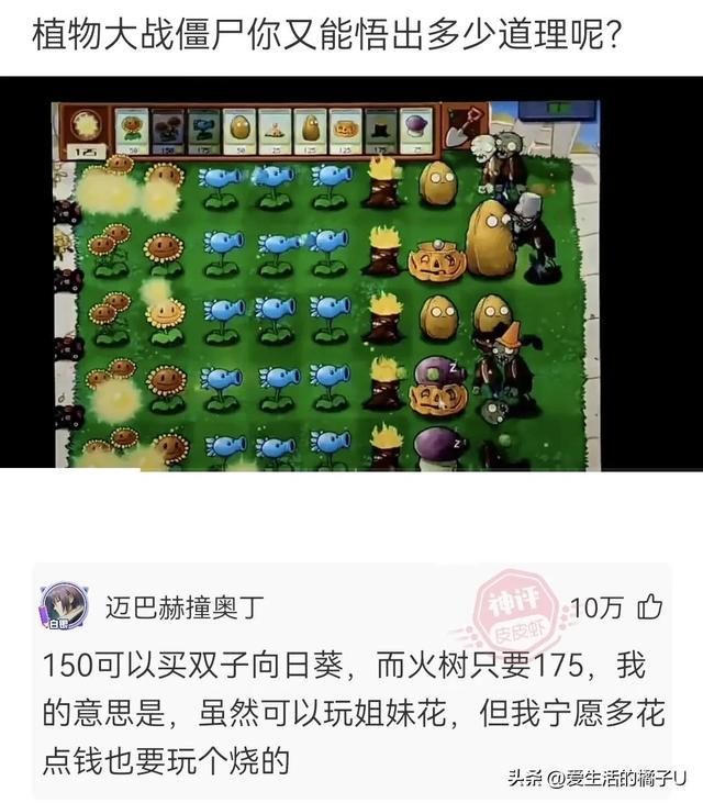 神回复:甘蔗也好吃,就是果皮太硬,果仁噎嗓子 神回复:甘蔗也好吃,就是果皮太硬,果仁噎嗓子