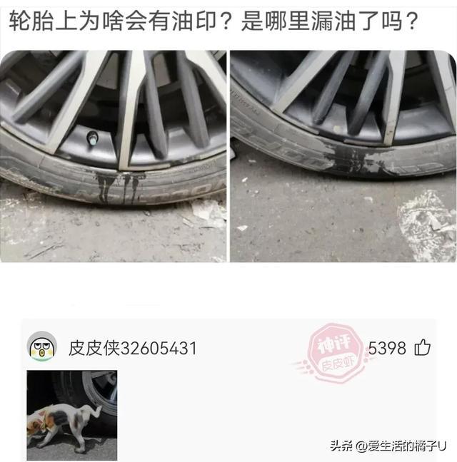 神回复:甘蔗也好吃,就是果皮太硬,果仁噎嗓子 神回复:甘蔗也好吃,就是果皮太硬,果仁噎嗓子