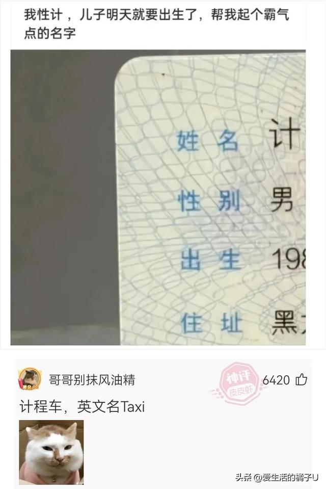 神回复:甘蔗也好吃,就是果皮太硬,果仁噎嗓子 神回复:甘蔗也好吃,就是果皮太硬,果仁噎嗓子